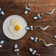 5 food that boosts your sperm count and semen volume