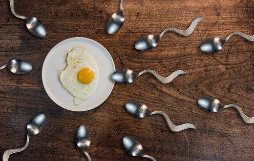 5 food that boosts your sperm count and semen volume