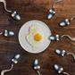 5 food that boosts your sperm count and semen volume