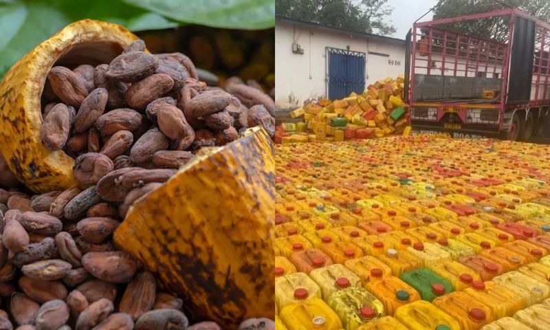 1,115 gallons of smuggled cocoa beans seized by Ghana Immigration at the border