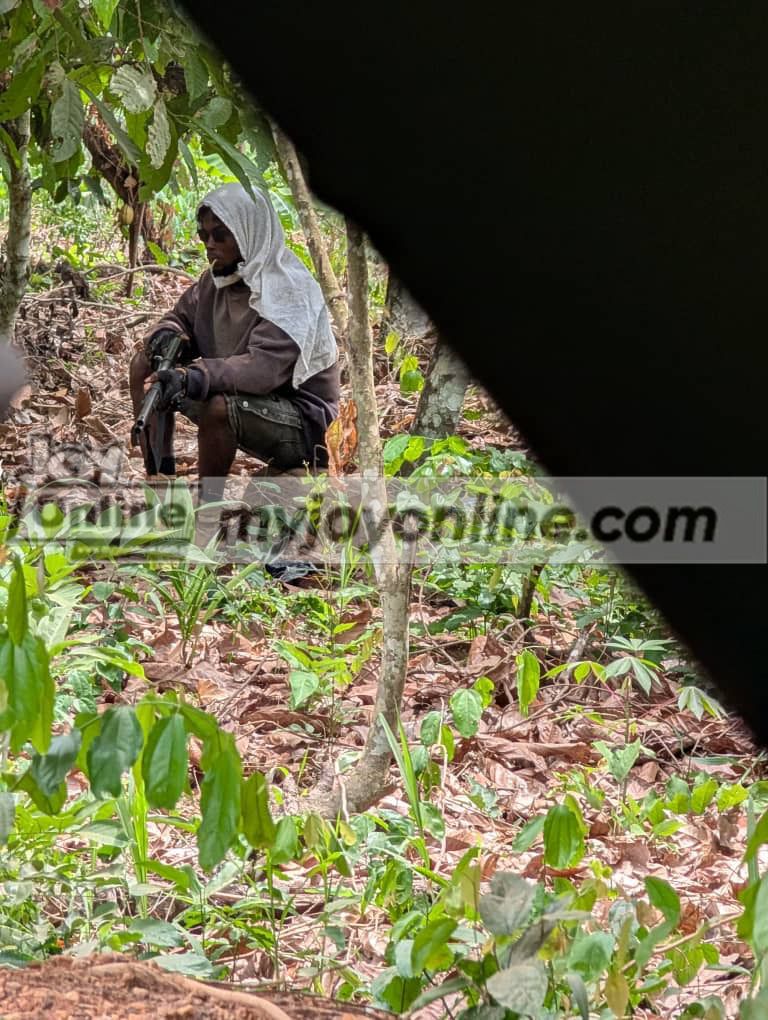 Offin forest attack: Ghanaians demand ‘shoot-to-kill’ order against illegal miners
