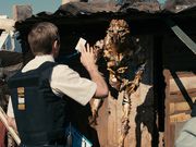 The 6 movies and TV shows coming to Netflix this week that are worth watching, including 'Dumplin'