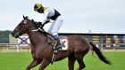 Experience horse racing thrills at Newton Abbot: Enjoy excitement & fun!