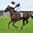 Experience horse racing thrills at Newton Abbot: Enjoy excitement & fun!