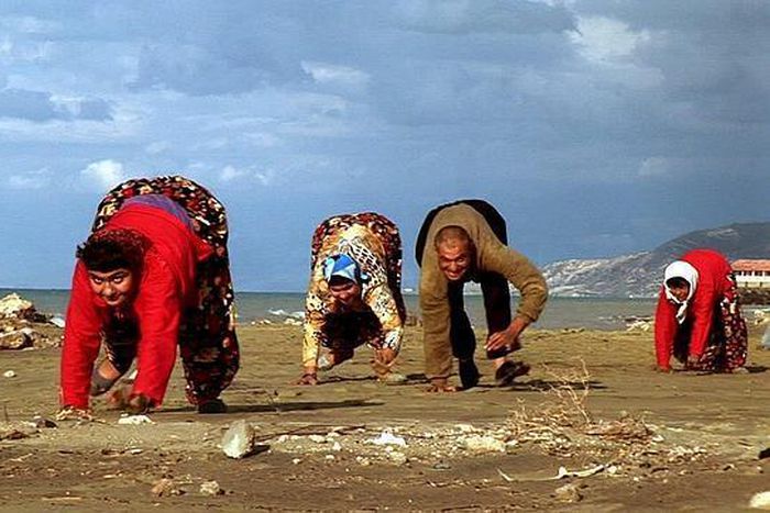 ___8957661___2018___10___9___18___cuatro-patas--644x362