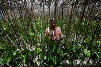 An island in India is disappearing, but some of the last residents say they can't afford to move away
