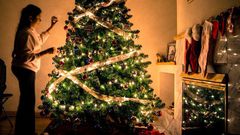 christmas tree