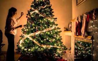 christmas tree