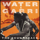 Afrobeats superstar Tiwa Savage releases soundtrack album for debut feature film 'Water & Garri'
