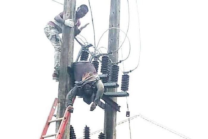 The lifeless body of the suspect was seen dangling on the high-tension pole [Punch]