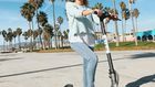 bird scooter