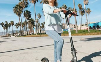 bird scooter