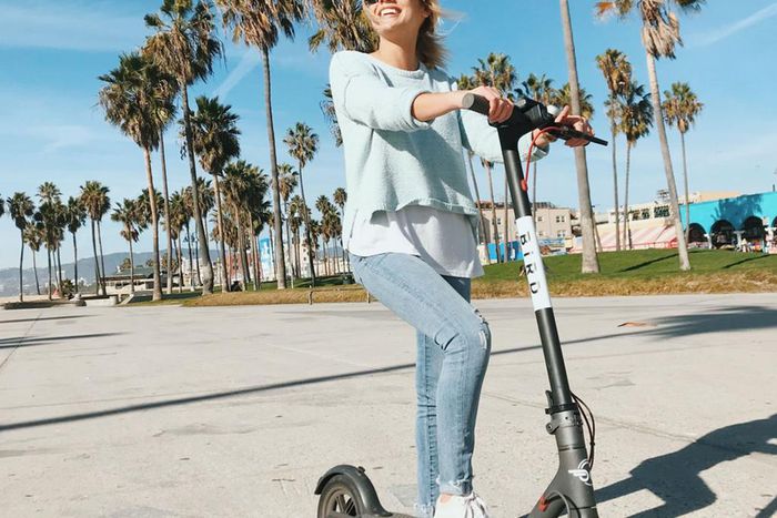 bird scooter