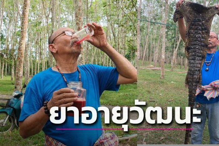 52-year-old businessman drinks crocodile blood 2 times daily, says it gives good health