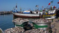 Figures released by the Ghana Statistical Service shows that the sector recorded negative 1.1 percent in the first quarter of 2016 compared to 0.8 percent in the fourth quarter of 2015.