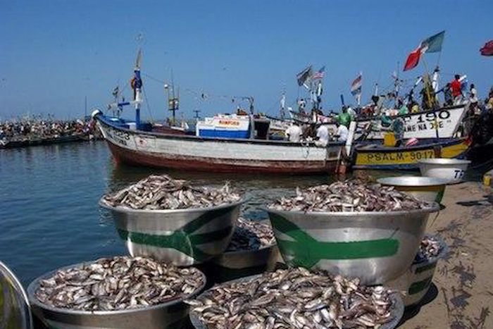 Figures released by the Ghana Statistical Service shows that the sector recorded negative 1.1 percent in the first quarter of 2016 compared to 0.8 percent in the fourth quarter of 2015.