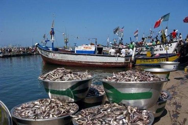 Figures released by the Ghana Statistical Service shows that the sector recorded negative 1.1 percent in the first quarter of 2016 compared to 0.8 percent in the fourth quarter of 2015.