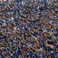 Fans of Persib Bandung beat to death a fan from a rival Jakarta team over the weekend