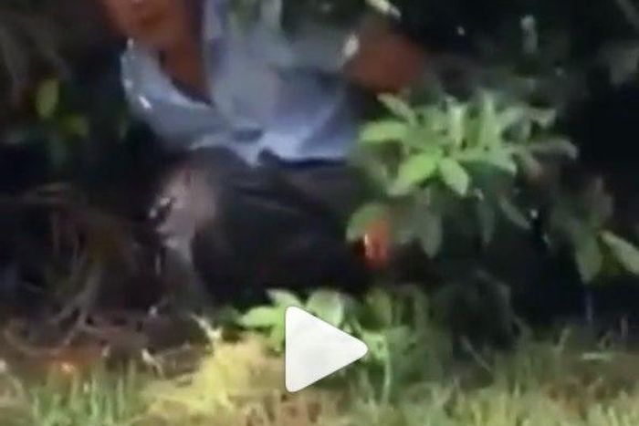 Chinese man defecating in a bush