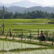 Thousands of vulnerable women and girls from northern Myanmar are being trafficked to China and forced to marry, according to a new study