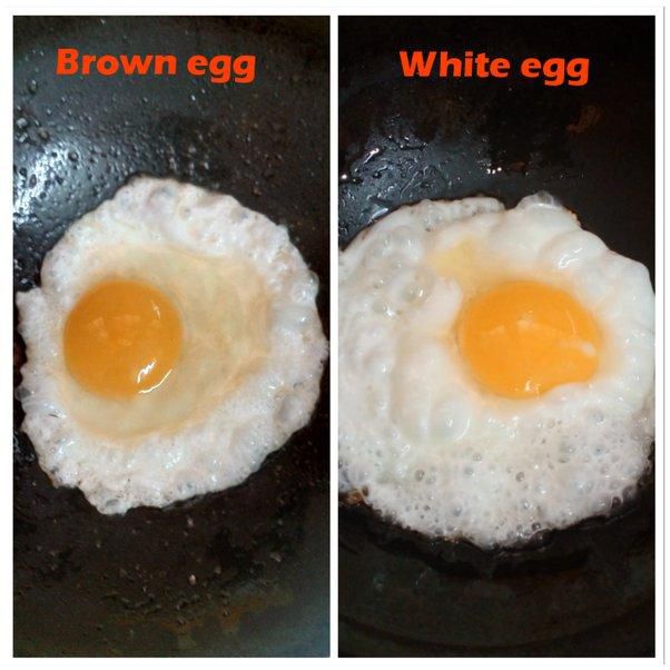 The taste of an egg is influenced by the chicken's diet [Quora]