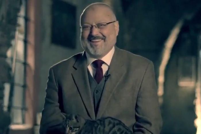 jamal khashoggi cat
