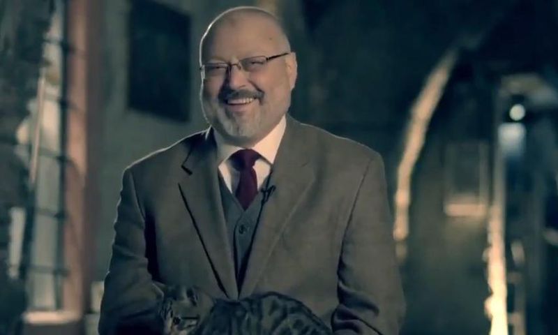 jamal khashoggi cat