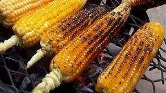 Roasted corn