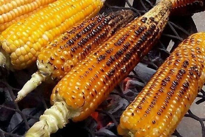 Roasted corn