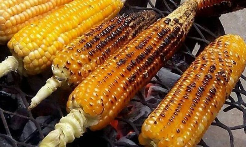 Roasted corn