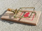 Mouse trap