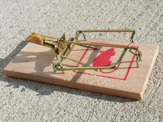 Mouse trap