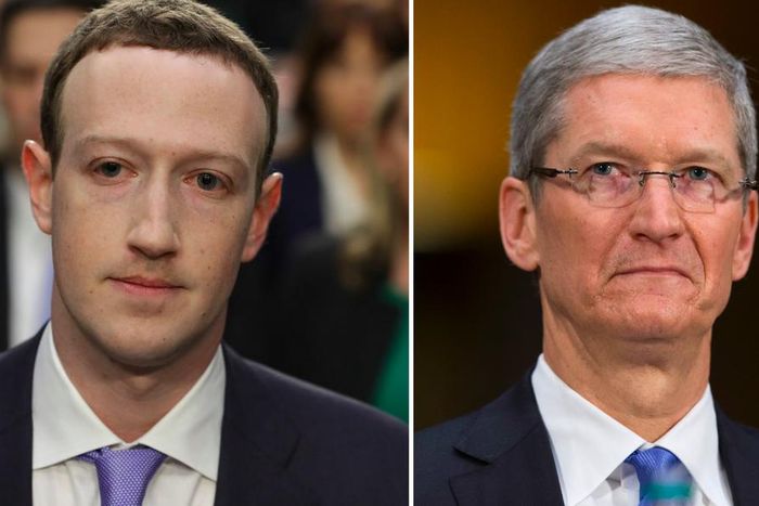 cook vs zuck, tim cook, mark zuckerberg