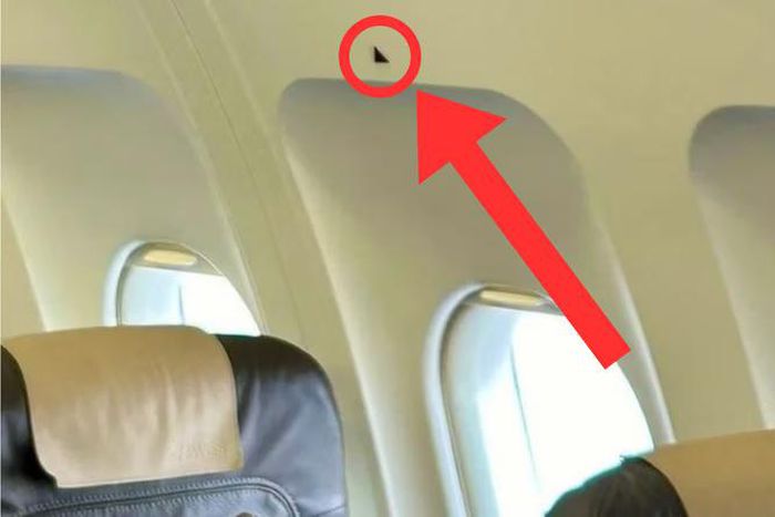 On both sides of the plane, there is a triangle in front of and behind the wings above the windows [Michael Quandt/Bild]