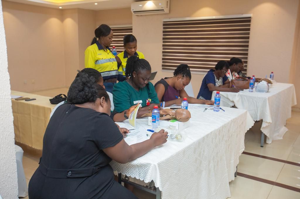 A cross-section of health professionals in training