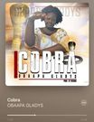 Cobra - Obaapa Gladys