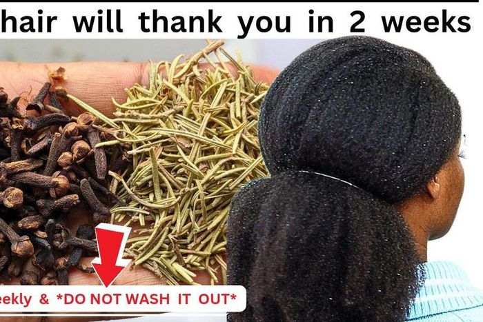 How to use rosemary and cloves for hair growth [Youtubemisssennie]
