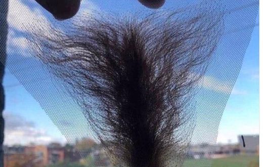 Frontal wigs for vaginas