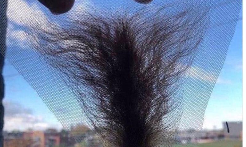 Frontal wigs for vaginas