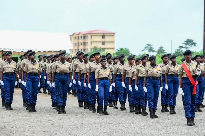 Youth Employment Agency