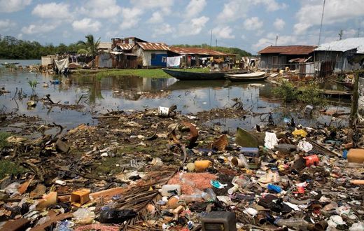 Environmental degradation