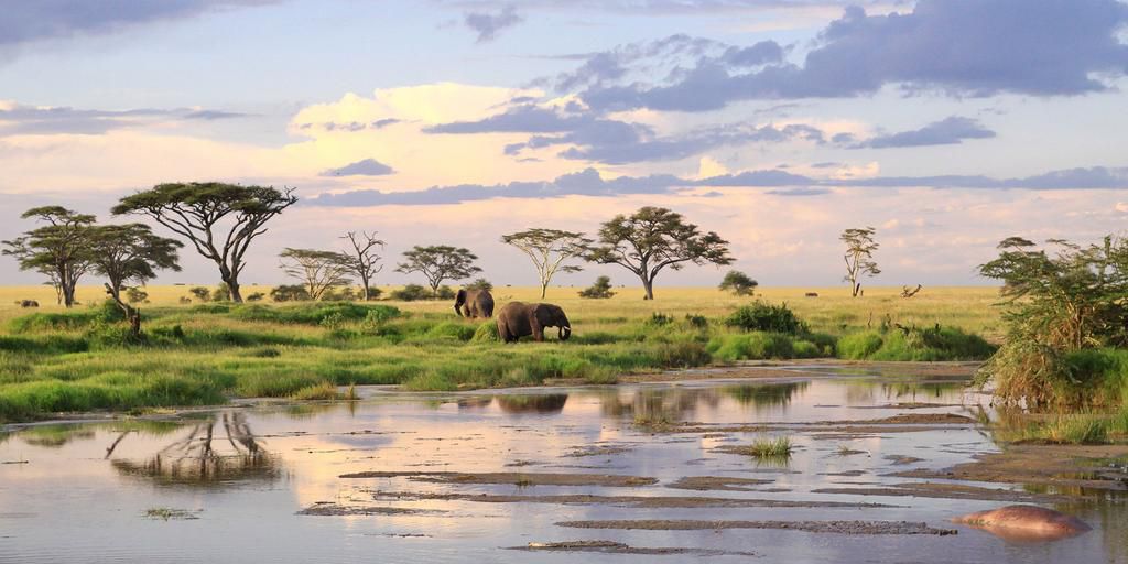Tanzania Serengeti