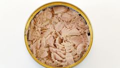 Canned tuna