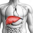 Liver Health Photo