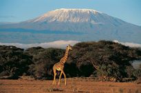Mount Kilimanjaro Tanzania