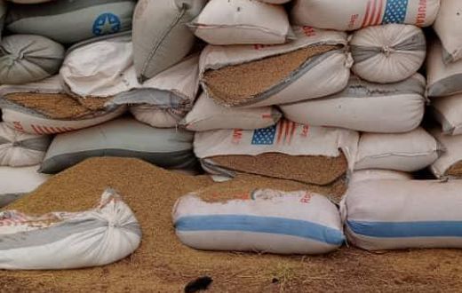 Bags of rice left to waste in Builsa