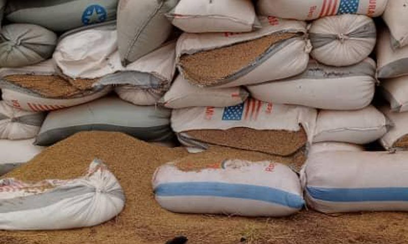Bags of rice left to waste in Builsa
