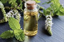 Peppermint oil [Medical News Today]