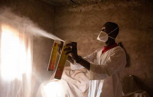 Collecte entomologique dans le village de Bana, au Burkina Faso, par les chercheurs de Target Malaria, en janvier 2017