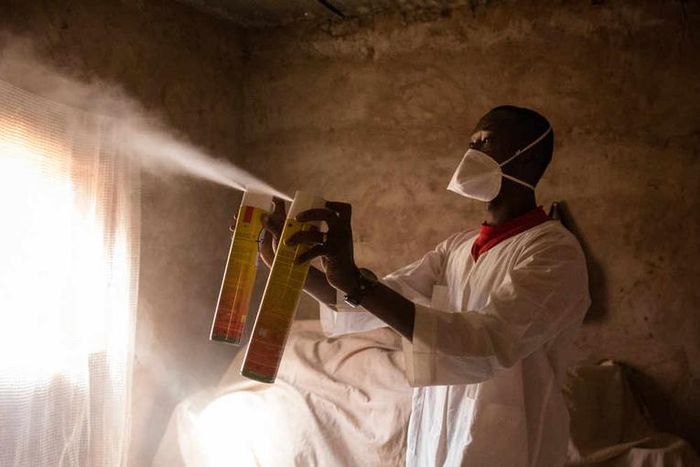 Collecte entomologique dans le village de Bana, au Burkina Faso, par les chercheurs de Target Malaria, en janvier 2017